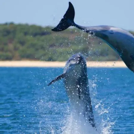 Casa Do Poeta Lejlighed