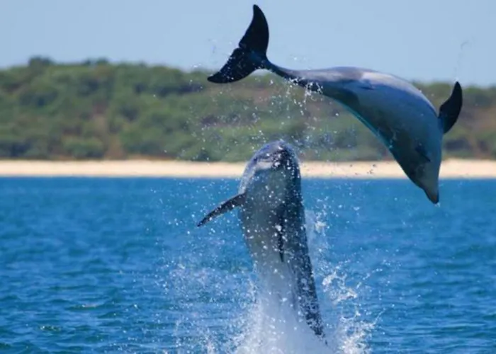 Casa Do Poeta Apartmán